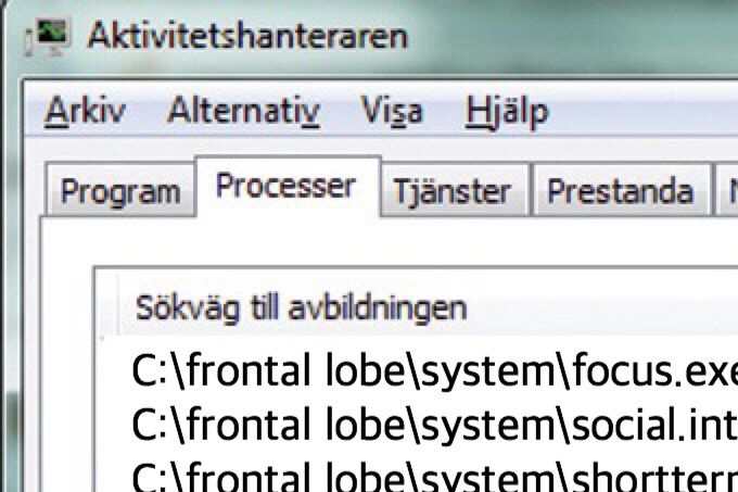 Hur min aktivitetshanterare kunde sett ut...